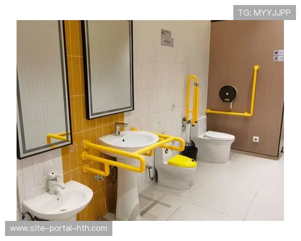 无障碍设施信息集成发布，特殊需求观众服务完善